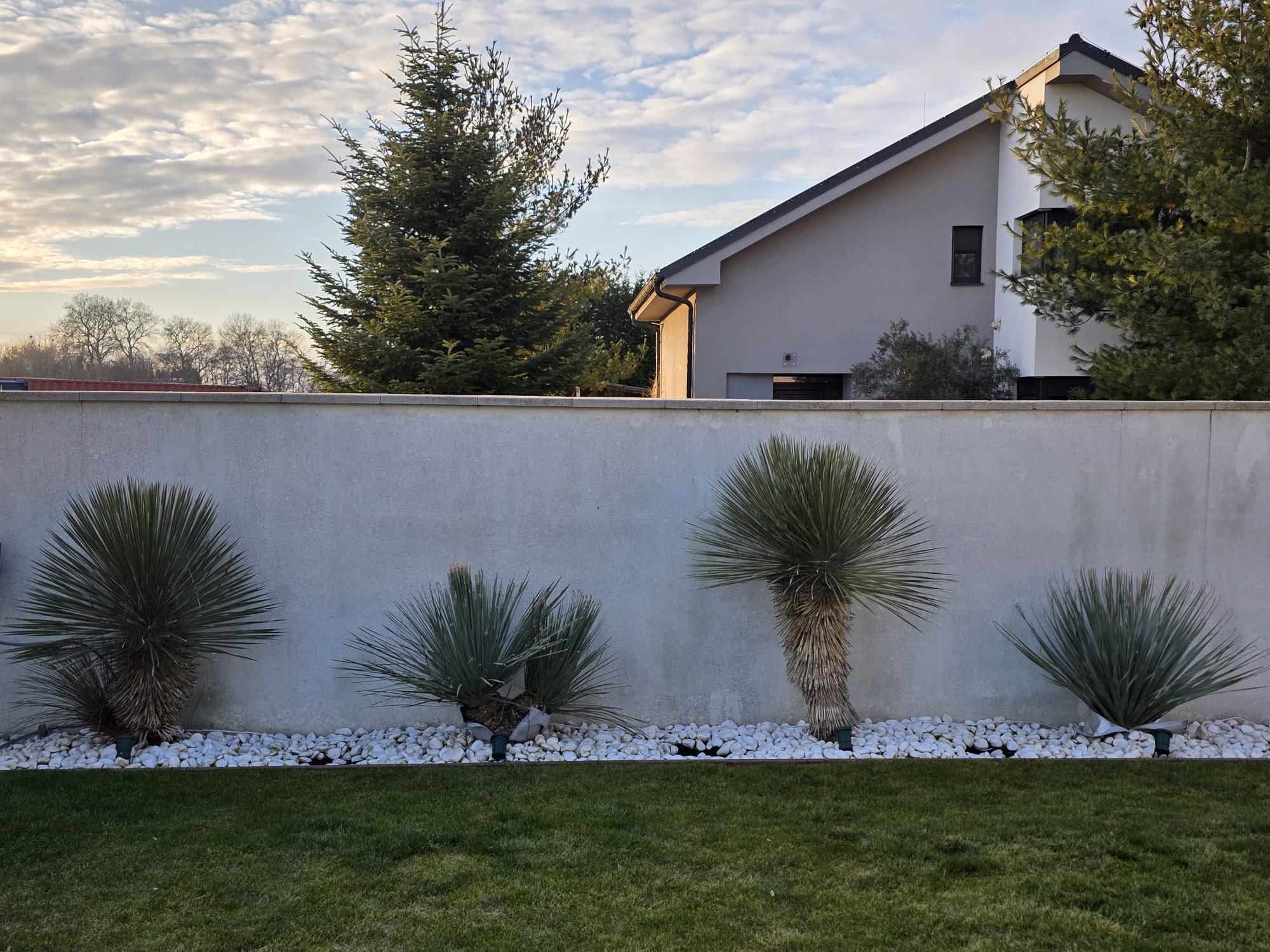 Naše yuky  a dasyliriony doma 8.2.2026